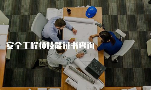 安全工程師技能證書查詢與技術咨詢指南